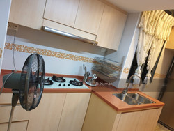 Dunman View (D15), Condominium #216851411